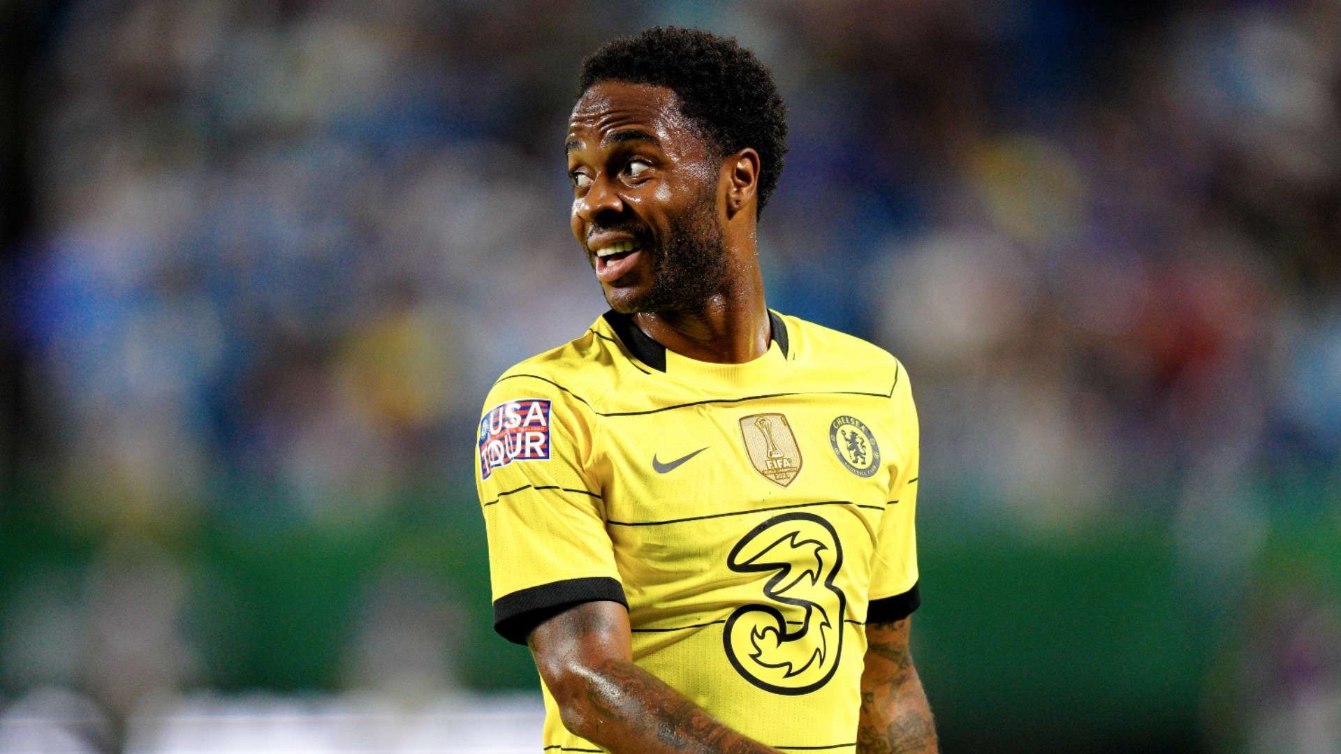 了新鲜的战 了新鲜的战